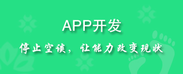 APP开发